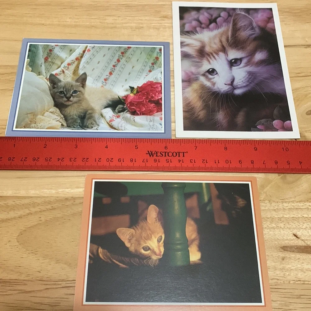 Lot of 19 blank cards with birds, cats and dogs on the fronts. Photos & art